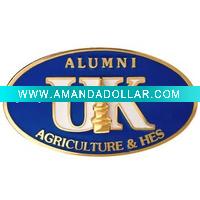 Blue Die Struck Lapel pins