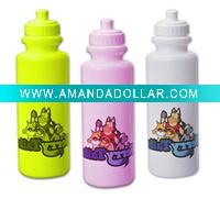 Sport water bottle
