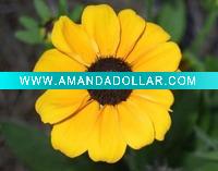 Wholesale RC glossy inkjet photo paper(180gsm)