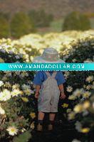 Wholesale Water resistant PP inkjet art paper