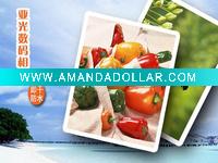 Wholesale matte/satin A4 size printing paper for inkjet printer and plotter