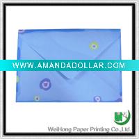 Fashion envelope