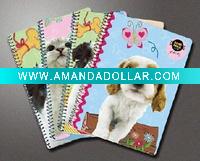 Wholesale 2011 fashional exquisite stationery A5 spiral notebook