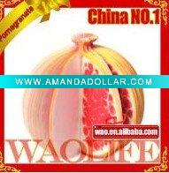 Wholesale Fruit Memo pad Guava,memo pad