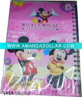 PP notebook