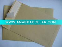 2011 Kraft Paper Business Envelope