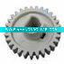 lower roller gear 29T