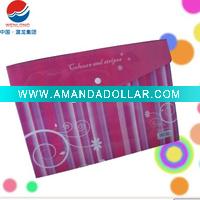 Wholesale plastic file holders/PVC file holder