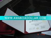 Diploma cover