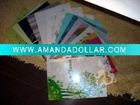 Lovely design file folder