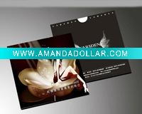 Wholesale Colourful CD folder