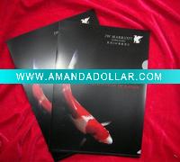 plastical folder