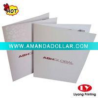 Wholesale 2011 Newly Customized Paper Folder