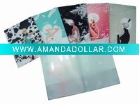 2010 pp file folder (New Style)