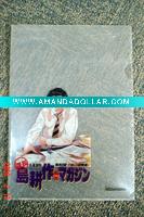 PP file Folder