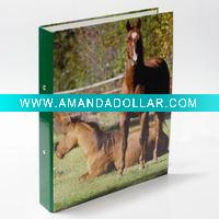 Paper file folder/Ring binder