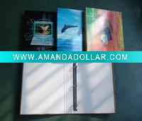 paper ring binder