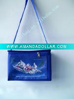Cooler bag for environment