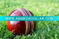 cricket ball