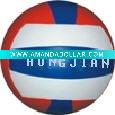 Color volleyball (size 5 )