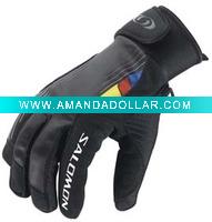 Wholesale Ski Gloves.(TB-GS-251)