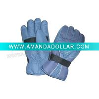 Ski gloves