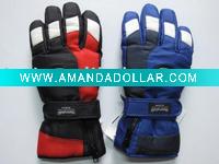 ski gloves & ski glove