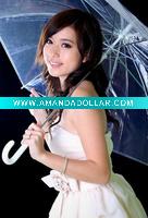 Wholesale hot sell promotional clear transparent umbrella