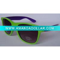 Wayfarer Sunglasses