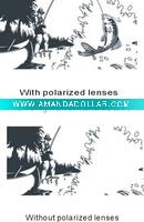 Wholesale Polarized Test Card
