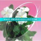CR-39 1.499 Semi Finished Resin Lens