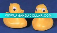 Floating Duck