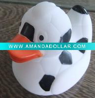 swimming duck