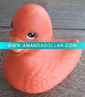 swimming duck