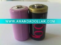 CR123A lithium battery