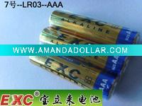 alkaline AM4/LR03/AAA battery