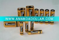 High Performance Alkaline Batteries