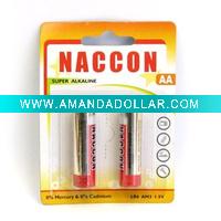 AA Alkaline Battery