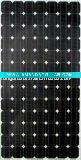 Wholesale 240W solar module