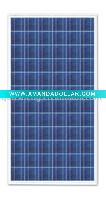 Wholesale 250w Solar module(QSSM-250P)