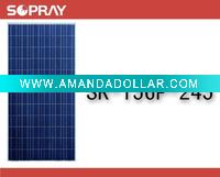 Wholesale 245W PolyCrystalline Solar panel
