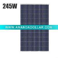 Wholesale 245W Poly Solar Module