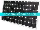 Wholesale 170W Mono Solar Module