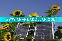 Wholesale sloar panel factory price