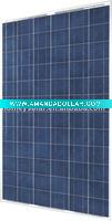 HM-P260Wp Poly Solar Panel