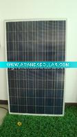 Solar Panel 220w