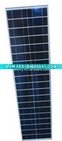 55w poly panel felicity solar