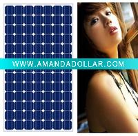 Wholesale 65W mono solar module for PILOT LAMP