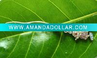 Wholesale mouse shape mobile phone strap