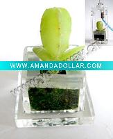 Wholesale Novelty gift.Pet plant.Mobile Phone Accessories